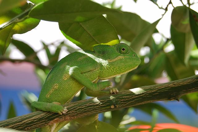 DSC_1892.jpg