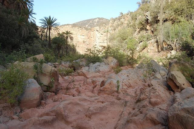 DSC_2046.jpg